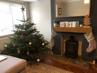 Hetas Stove Maintenance, Kenilworth